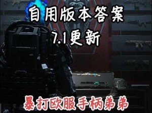 关于使命召唤2配置的详细解析与升级方案