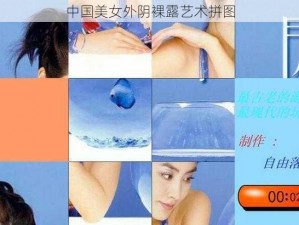 中国美女外阴裸露艺术拼图