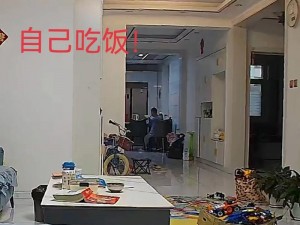 2023 真实偷盗拍摄家庭：家庭监控记录下的震撼瞬间