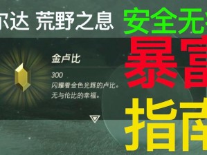 塞尔达卢比高效赚取指南：游戏内货币获取策略全解析