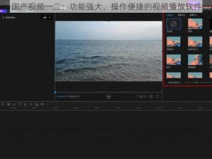 国产视频一二：功能强大、操作便捷的视频播放软件