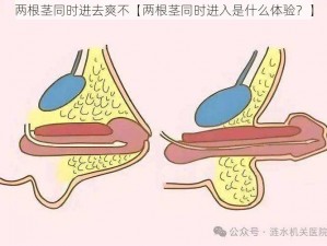 两根茎同时进去爽不【两根茎同时进入是什么体验？】