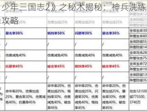 《少年三国志2》之秘术揭秘：神兵洗练巅峰攻略