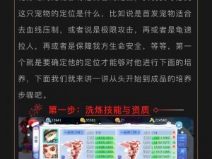 桃花源记快速升级攻略：实战技巧助你飞速成长