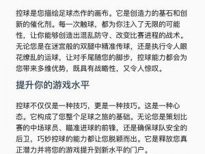 FIFA 13传球技巧深度解析：提升游戏水平的心得体会