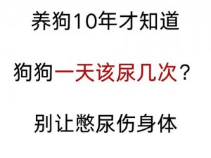 主人规定一天只能尿一次,如果狗一天尿很多次，主人会怎么办？