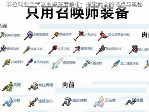 泰拉瑞亚全武器图鉴深度解析：探索武器的特点与奥秘