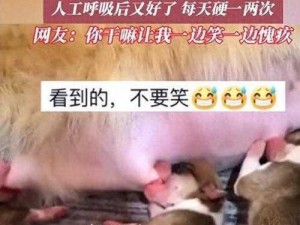 家公吃我奶(家公吃我奶，这样的行为是否合适？)