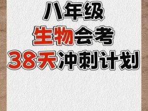 冲刺电脑版下载链接及详细安装指南