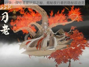 神都夜行录：探寻潜藏妖踪之秘，揭秘夜行者的隐秘踪迹觅妖指南