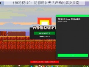 《神秘视线9：阴影湖》无法启动的解决指南