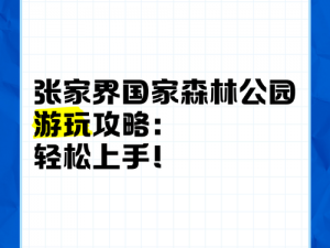 《森林新手开局全解析：轻松上手攻略》