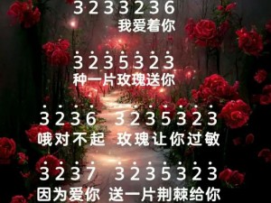 无人区玫瑰的 MV 为什么如此受欢迎？它有什么特别之处？