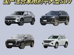 国产 SUV 精品一区二妻，家庭出行的舒适之选