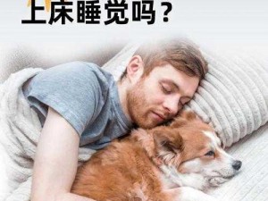 狗狗可以用人的阿胶吗？人狗胶配方大全狗狗使用禁忌是什么？