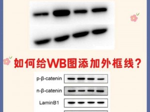 撒尿WBWBWB毛_请问为什么有人会在撒尿时 WBWBWB 毛？