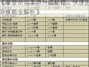 《拳皇命运手游升级秘籍：快速进阶攻略全解析》