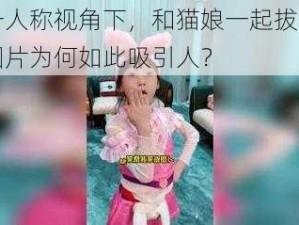 第一人称视角下，和猫娘一起拔萝卜的图片为何如此吸引人？