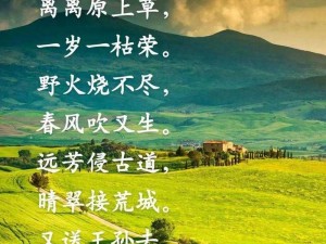 芳草萋萋芳草地_芳草萋萋，萋萋芳草，谁来与我同赏这芳草地？