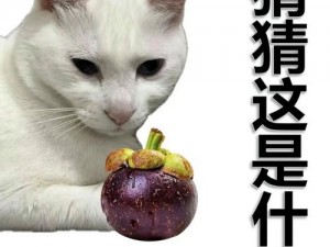 全民趣味挑战：水果图片猜猜乐——探索水果名称的奥秘