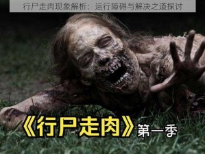 行尸走肉现象解析：运行障碍与解决之道探讨