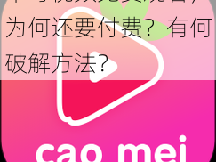 草莓视频免费观看，为何还要付费？有何破解方法？