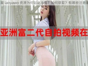 老鸭窝 laoyawo 资源为何如此丰富？如何获取？有哪些注意事项？