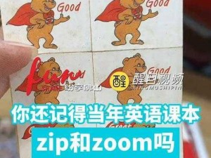 国内Zoom人与Zoom;国内 Zoom 人如何看待 Zoom？