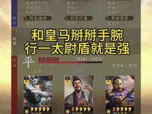 三国志12威力加强版连携效果全解析：战略协作之力深度剖析