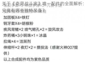 关于《奇葩战斗家》唯一配件的全面解析：究竟有哪些独特装备？