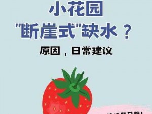 新手怎么自己扣小花园-新手怎么自己扣小花园？