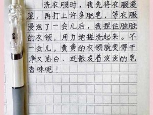 清洗者日记：安装与配置说明手册：一步步指导操作实践