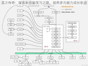 龙之传奇：探索新技能学习之路，培养多元能力成长轨迹