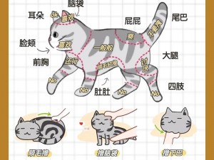 为什么玩猫メイド游戏会上瘾？如何避免沉迷？