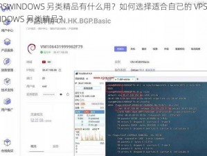 VPSWINDOWS 另类精品有什么用？如何选择适合自己的 VPSWINDOWS 另类精品？