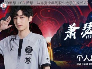 LGD萧瑟—LGD 萧瑟：从电竞少年到职业选手的成长之路