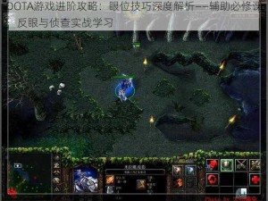 DOTA游戏进阶攻略：眼位技巧深度解析——辅助必修课，反眼与侦查实战学习