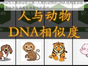 动物dna与人类dna生小孩—人类与动物的 DNA 结构差异较大，二者结合无法产生具有生育能力的后代