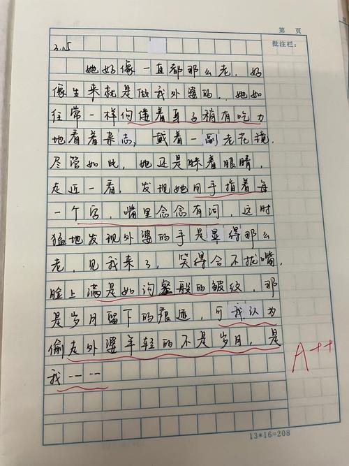 学长错一题往里插一支笔作文:学霸的秘密武器