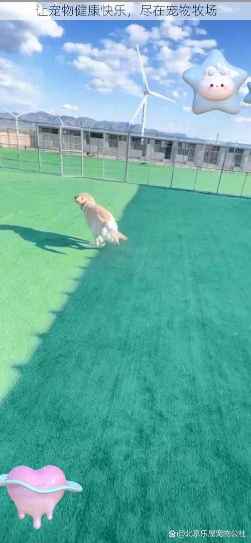 让宠物健康快乐,尽在宠物牧场