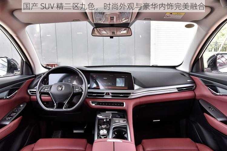 国产 SUV 精二区九色，时尚外观与豪华内饰完美融合