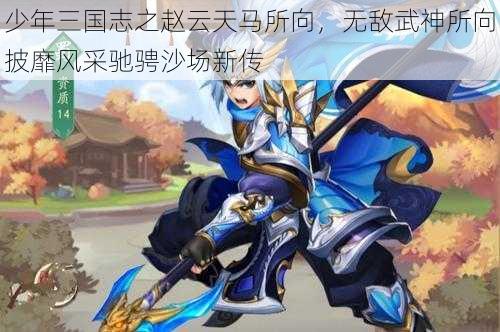 少年三国志之赵云天马所向，无敌武神所向披靡风采驰骋沙场新传