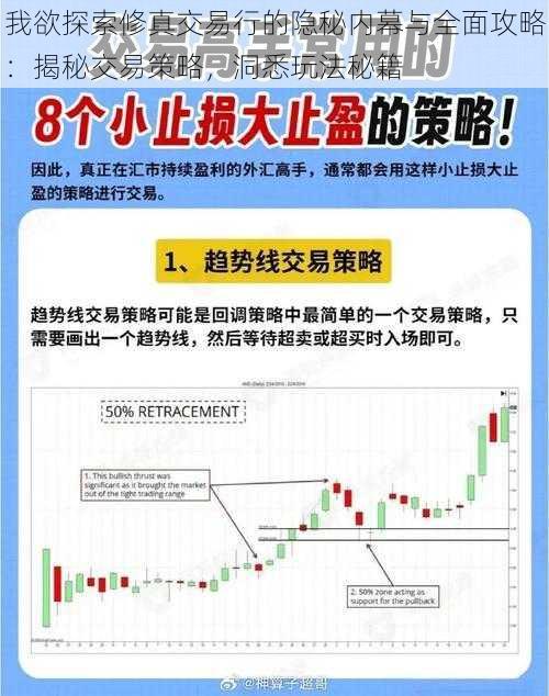 我欲探索修真交易行的隐秘内幕与全面攻略：揭秘交易策略，洞悉玩法秘籍