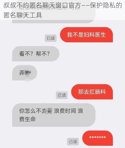 叔叔不约匿名聊天窗口官方——保护隐私的匿名聊天工具