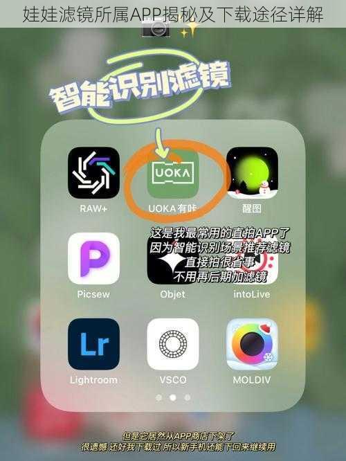 娃娃滤镜所属APP揭秘及下载途径详解