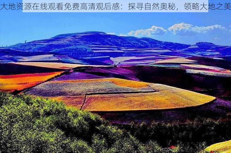 大地资源在线观看免费高清观后感：探寻自然奥秘，领略大地之美