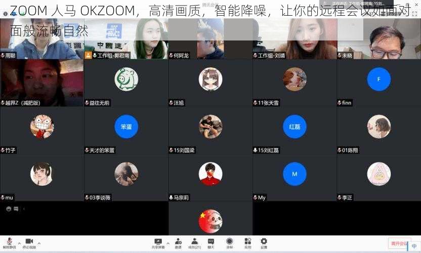 ZOOM 人马 OKZOOM，高清画质，智能降噪，让你的远程会议如面对面般流畅自然