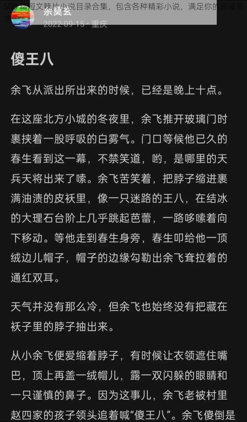 500 篇短文辣片小说目录合集，包含各种精彩小说，满足你的阅读需求