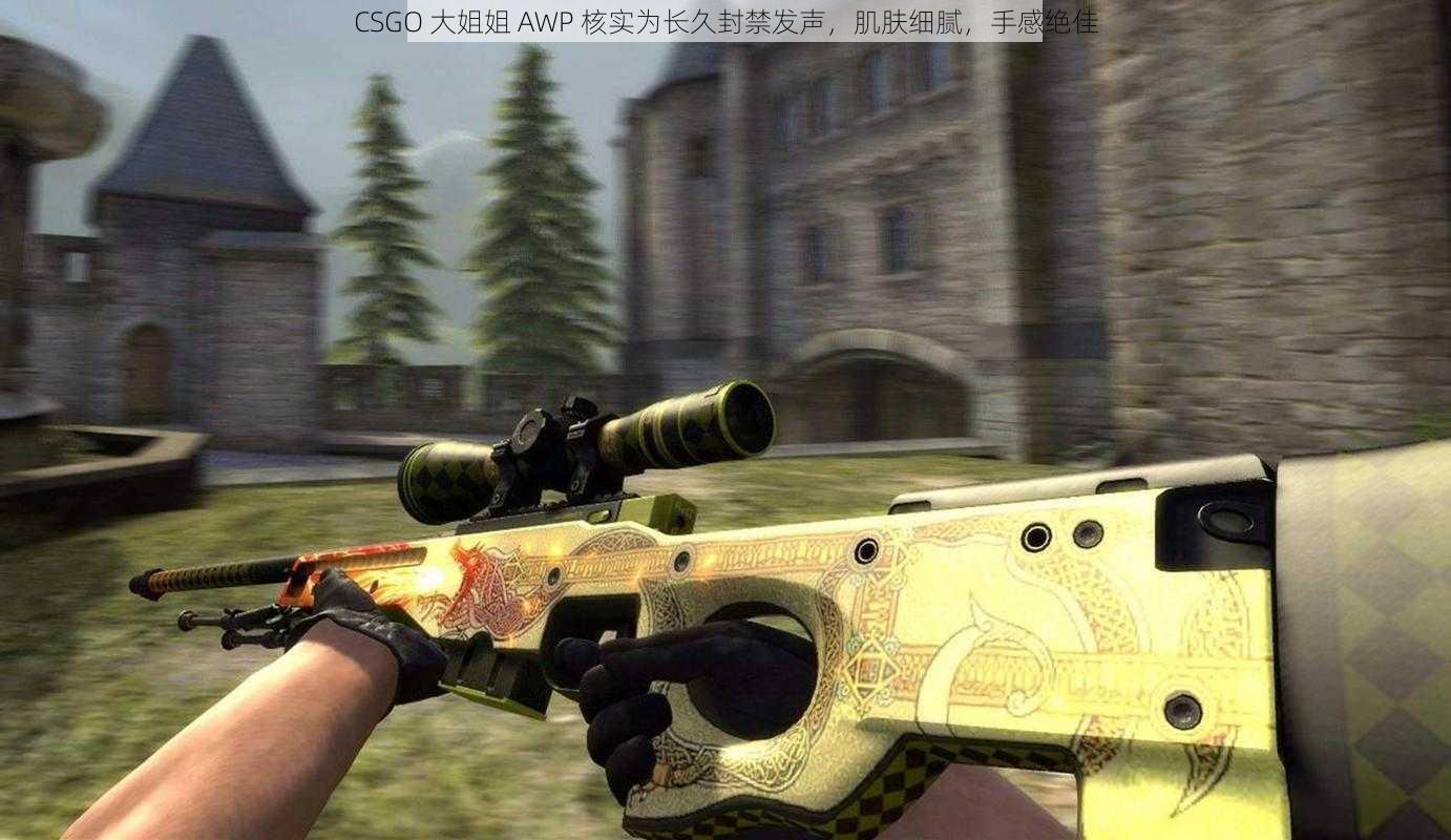 CSGO 大姐姐 AWP 核实为长久封禁发声，肌肤细腻，手感绝佳