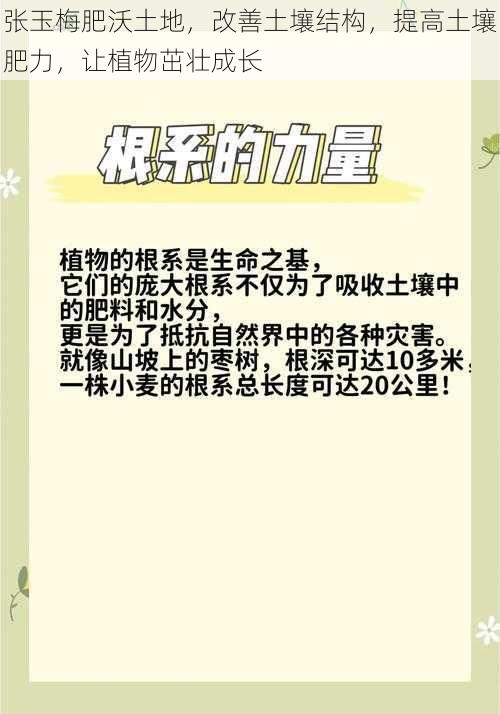 张玉梅肥沃土地，改善土壤结构，提高土壤肥力，让植物茁壮成长